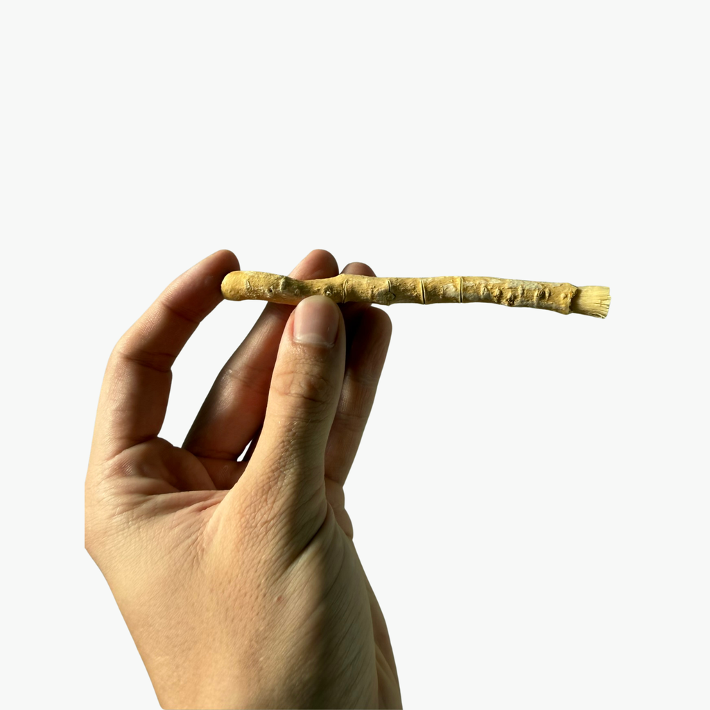 2 bâtons de siwak premium - Soryaq