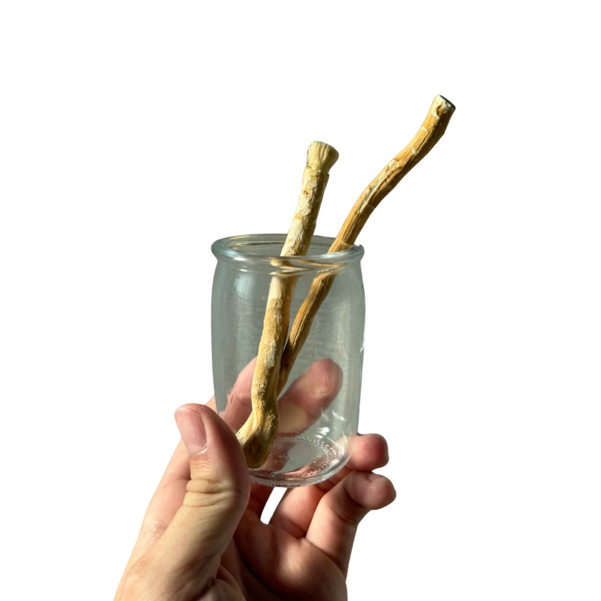 2 bâtons de siwak premium - Soryaq